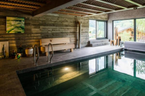 Luxueux chalet 4 chambres avec piscine et hammam Praz-Sur-Arly